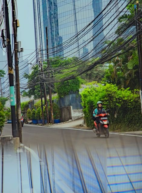 Photograph 65
