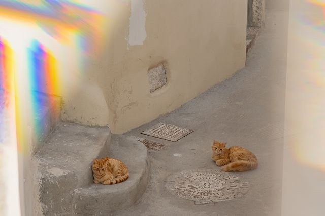 Photograph 121