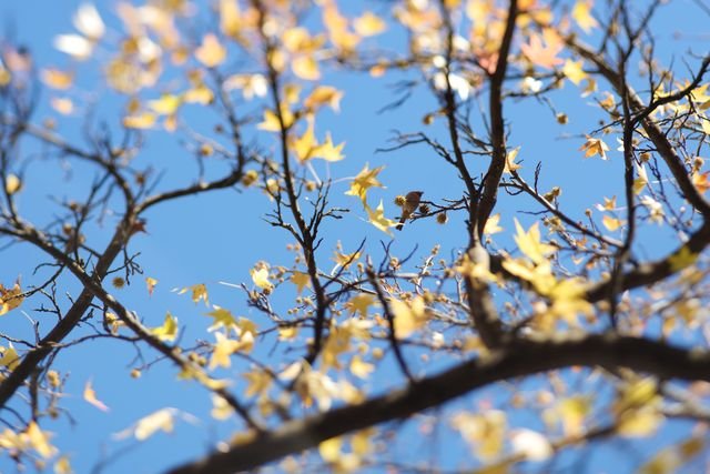 Photograph 134