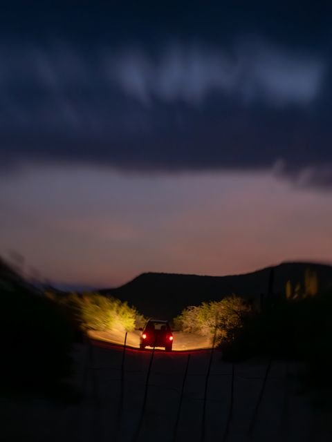 Photograph 136