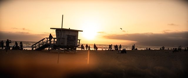 Photograph 137
