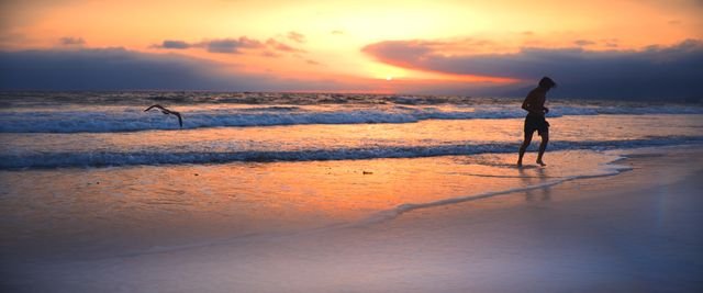 Photograph 138