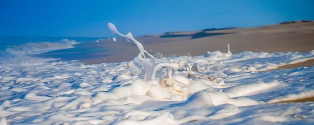 Photograph 143